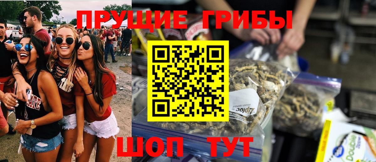 Псилоцибиновые грибы прущие грибы Кумертау