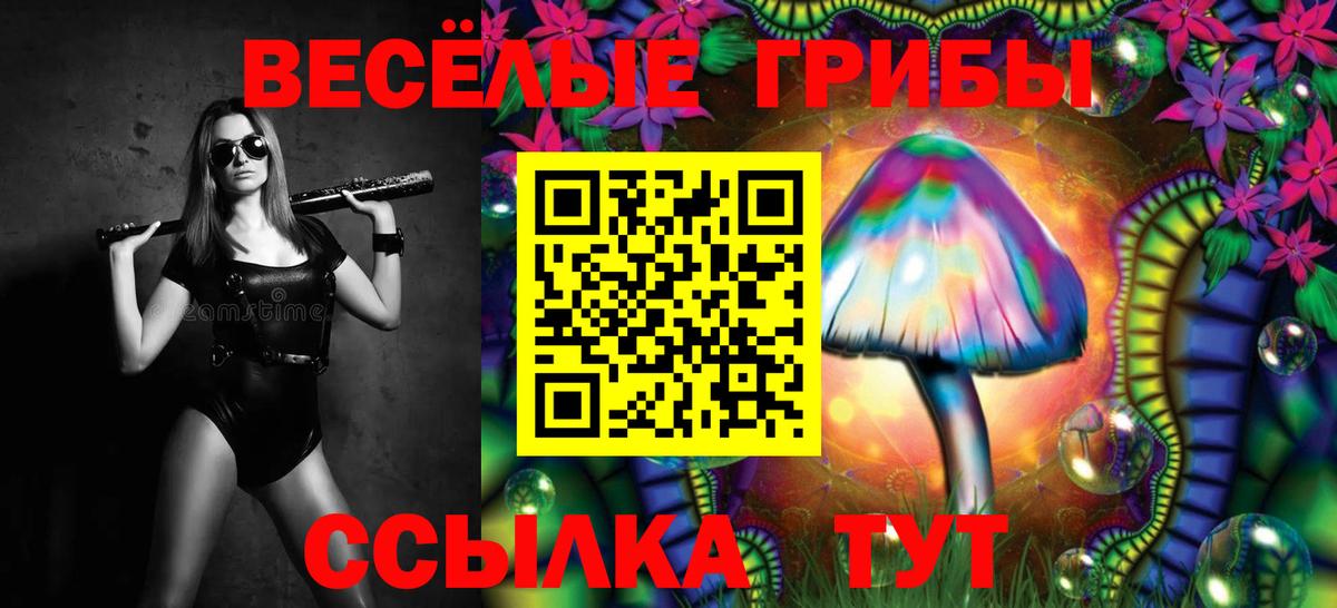 где купить наркоту  Галлюциногенные грибы мухоморы  Вход с VPN  Кумертау 